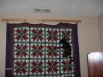 thumb_1213209506-Pippen_small_file.JPG