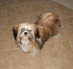 thumb_1214007880-076.JPG