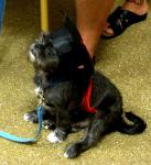 thumb_1282674801-Max-cap1.jpg