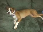thumb_1283439972-Emma_Joy.jpg