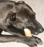 thumb_1304697792-MASTER_SHADY.jpg