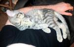 thumb_1310686150-sleepy_kiwi.JPG