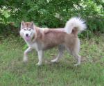 thumb_1338385681-Img_0319.jpg