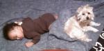 thumb_1394325959-beaubear_guarding.jpg