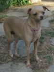 thumb_1401870048-Chloe1.JPG