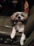 thumb_1402713438-IMG_7165__600x800_.jpg